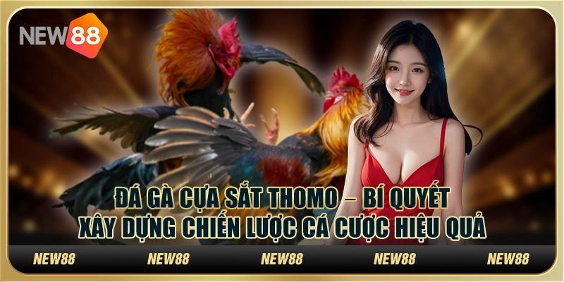 Đá gà cựa sắt Thomo