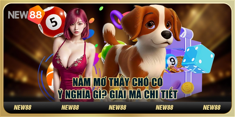 Nằm mơ thấy chó có ý nghĩa gì? Giải mã chi tiết