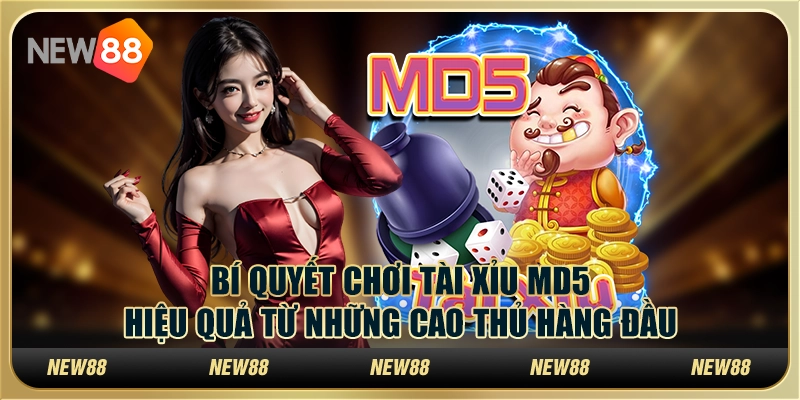 Bí quyết chơi Tài Xỉu MD5 hiệu quả từ những cao thủ hàng đầu