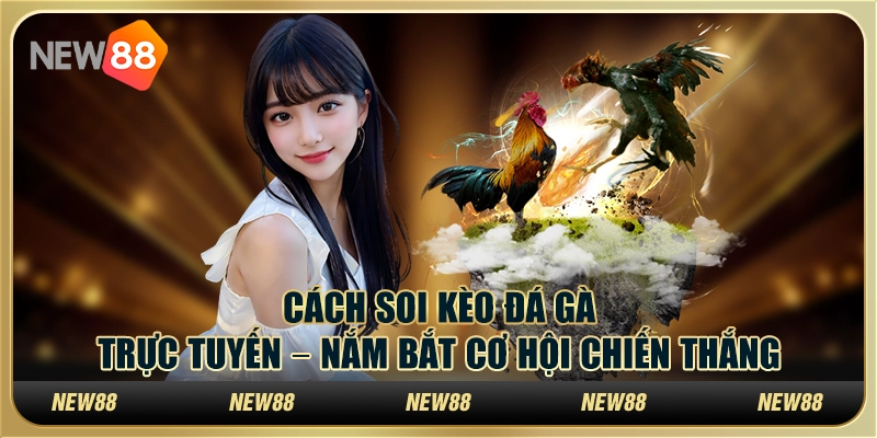 Cách soi kèo đá gà trực tuyến – Nắm bắt cơ hội chiến thắng