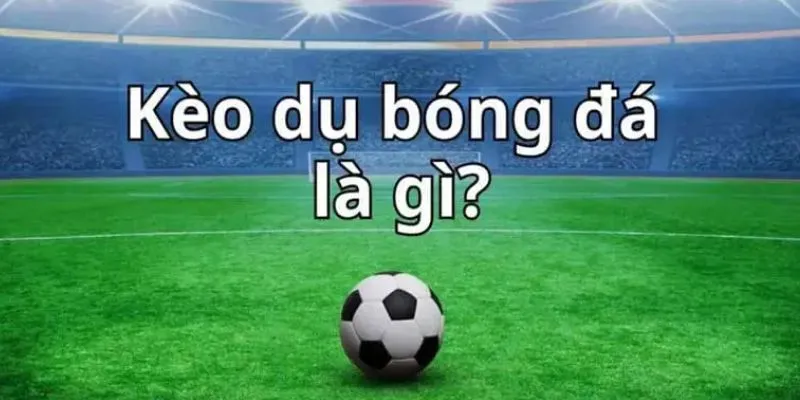 Khám phá những loại kèo dụ phổ biến hiện nay