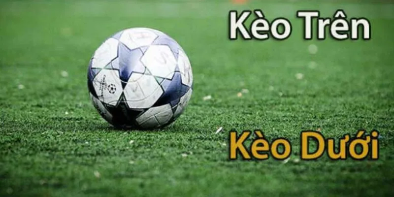 Khám phá cách phân biệt trên kèo dưới cho người mới bắt đầu