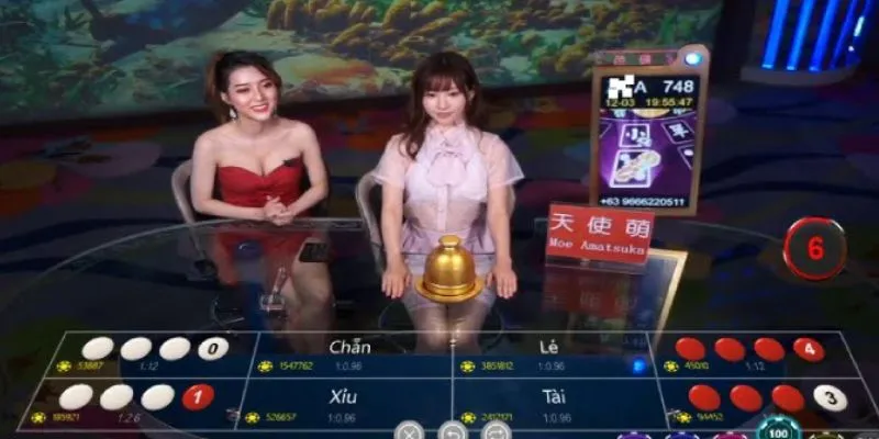 Khám phá tỷ lệ trả thưởng của từng cửa cược trong live xóc đĩa