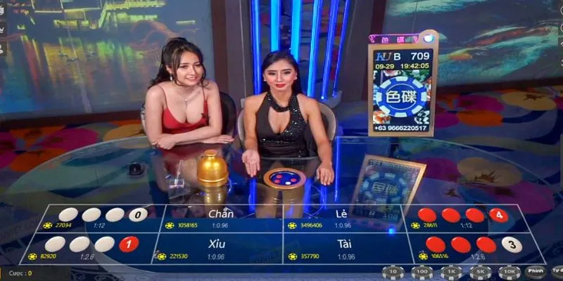 Tổng hợp mẹo giúp tăng cơ hội thắng khi chơi xóc đĩa