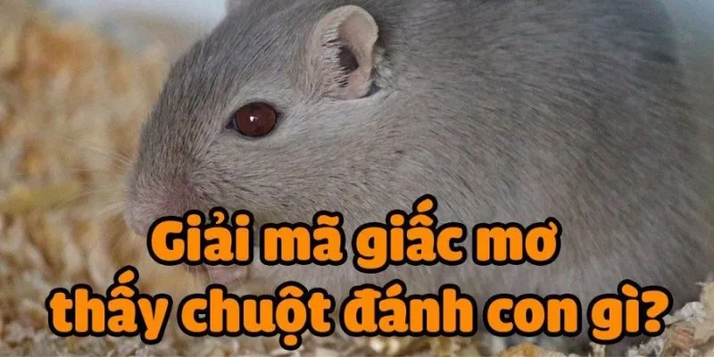 Tổng hợp các con số may mắn từ giấc mơ thấy chuột