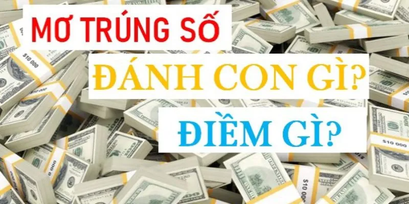 Tổng hợp cách ghi nhớ giấc mơ thấy trúng số 