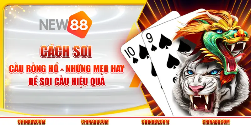 Cách soi cầu Rồng Hổ - Những mẹo hay để soi cầu hiệu quả