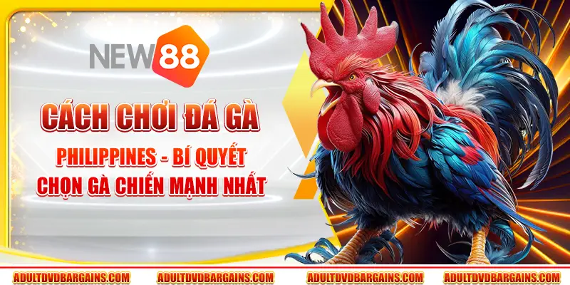 Cách chơi đá gà Philippines - Bí quyết chọn gà chiến mạnh nhất