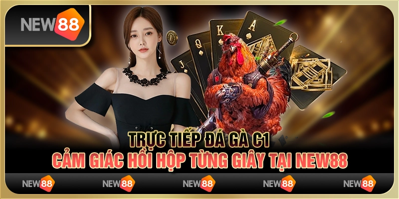 Trực tiếp đá gà C1 - Cảm giác hồi hộp từng giây tại New88