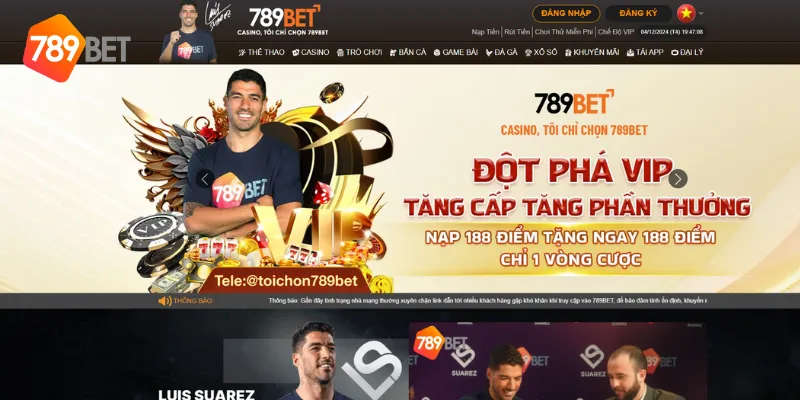 Nền tảng cá cược đa dạng 789BET