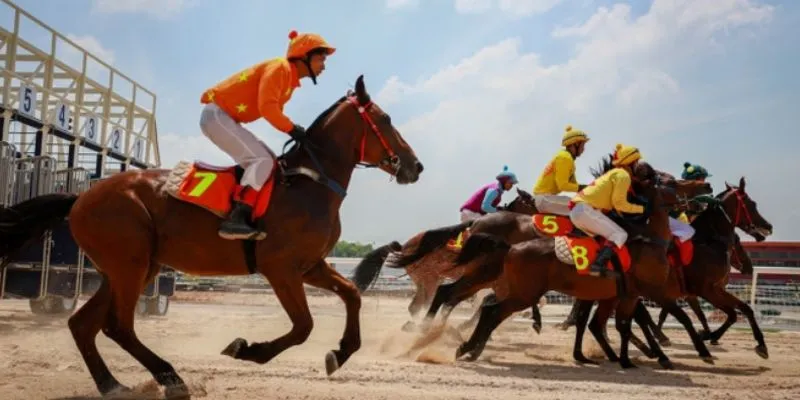 Tổng hợp các loại kèo cược đua ngựa 
