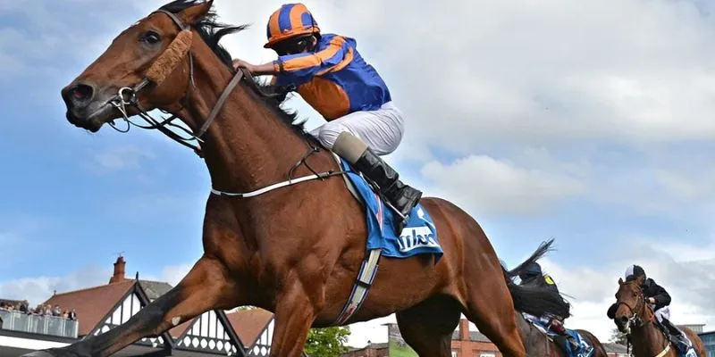 Tìm hiểu chiến lược cá cược hiệu quả trong đua ngựa