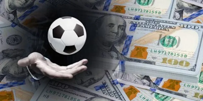 Tổng hợp những kinh nghiệm cá độ từ forum