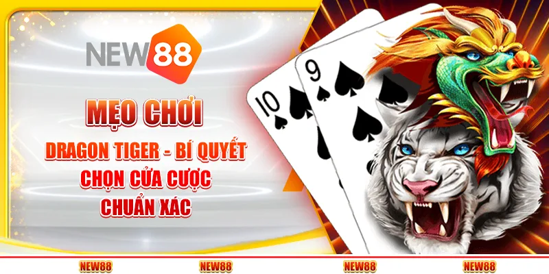 Mẹo chơi Dragon Tiger - Bí quyết chọn cửa cược chuẩn xác