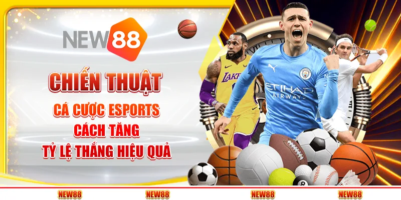 Chiến thuật cá cược Esports - Cách tăng tỷ lệ thắng hiệu quả