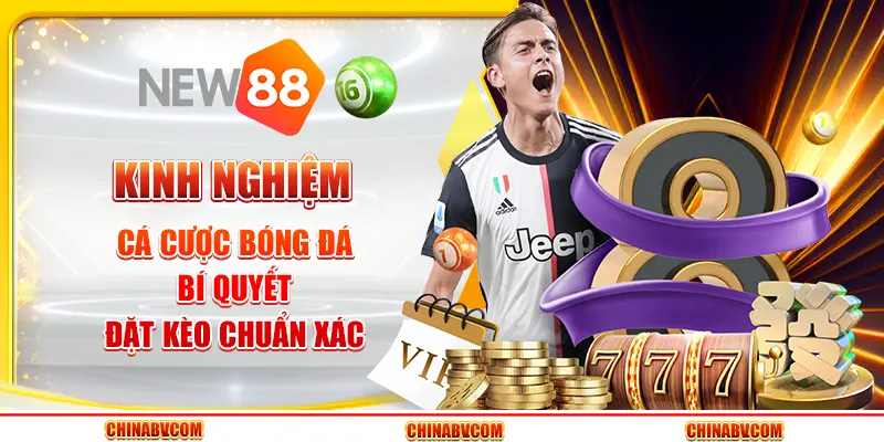 Kinh nghiệm cá cược bóng đá - Bí quyết đặt kèo chuẩn xác