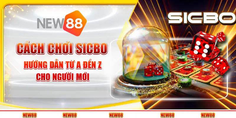 Cách chơi Sicbo - Hướng dẫn từ A đến Z cho người mới