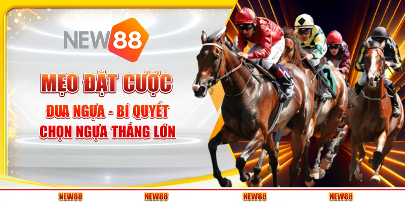 Mẹo đặt cược đua ngựa - Bí quyết chọn ngựa thắng lớn