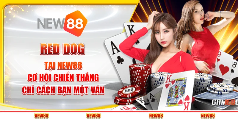 Red Dog tại New88 - Cơ hội chiến thắng chỉ cách bạn một ván