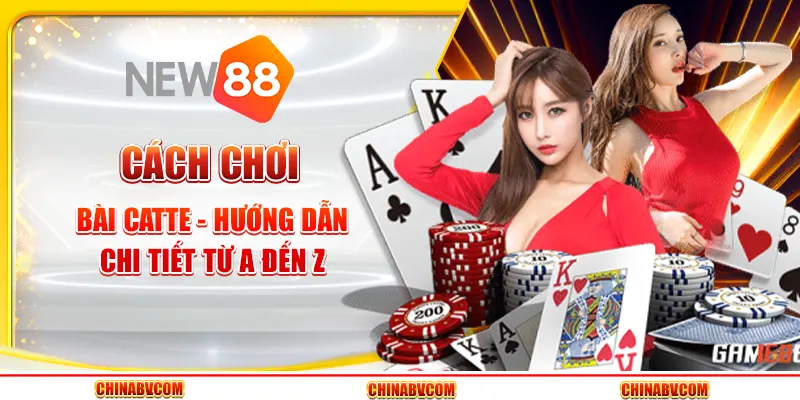 Cách chơi bài Catte - Hướng dẫn chi tiết từ A đến Z