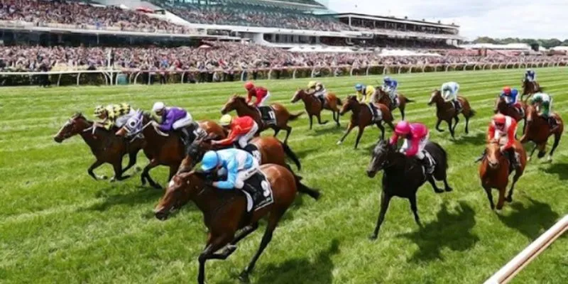 Tìm hiểu mẹo đặt cược đua ngựa hiệu quả 