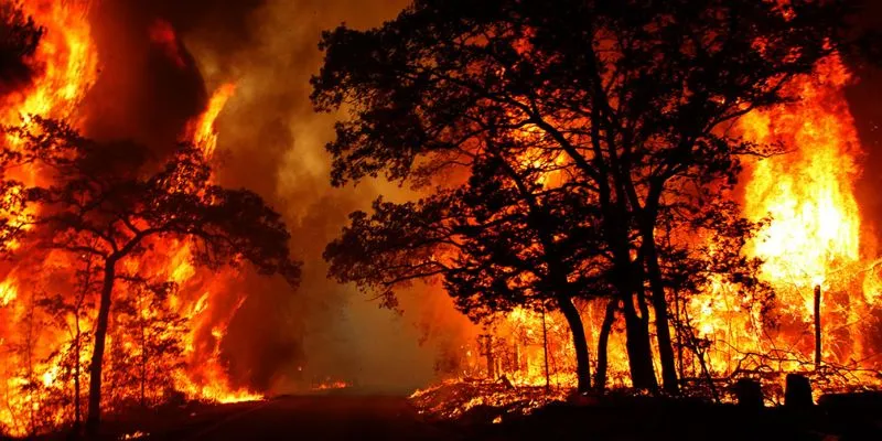 Khám phá các con số may mắn khi nằm mơ thấy lửa