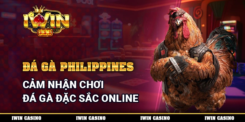Đá Gà Philippines - Cảm Nhận Chơi Đá Gà Đặc Sắc Online