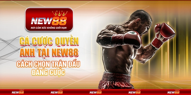 Cá cược quyền anh tại New88 - Cách chọn trận đấu đáng cược