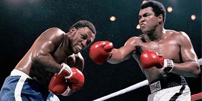 Khái quát về cá cược quyền anh tại New88