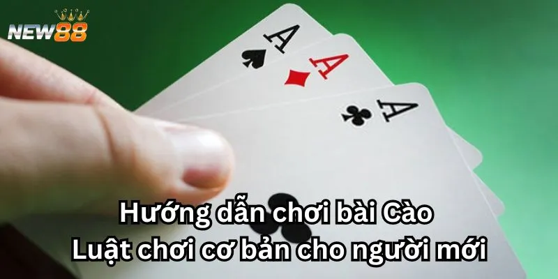 Hướng dẫn chơi bài Cào - Luật chơi cơ bản cho người mới