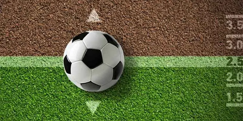 Tổng hợp cách soi kèo cúp C1 chuẩn xác