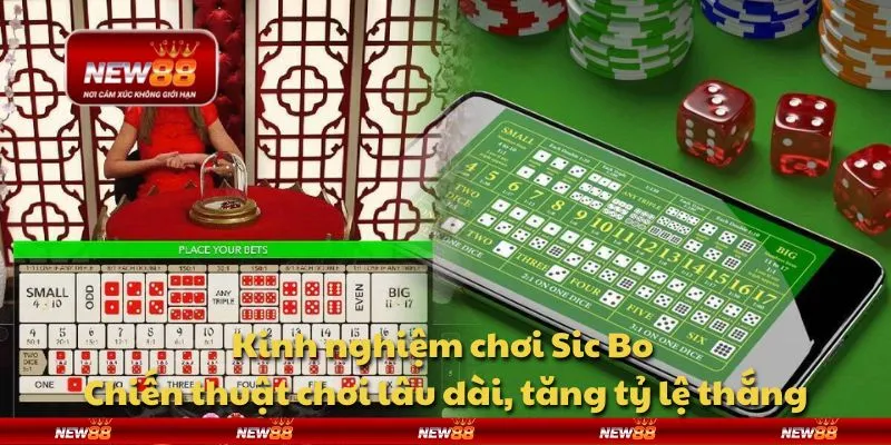 Kinh nghiệm chơi Sic Bo - Chiến thuật chơi lâu dài, tăng tỷ lệ thắng