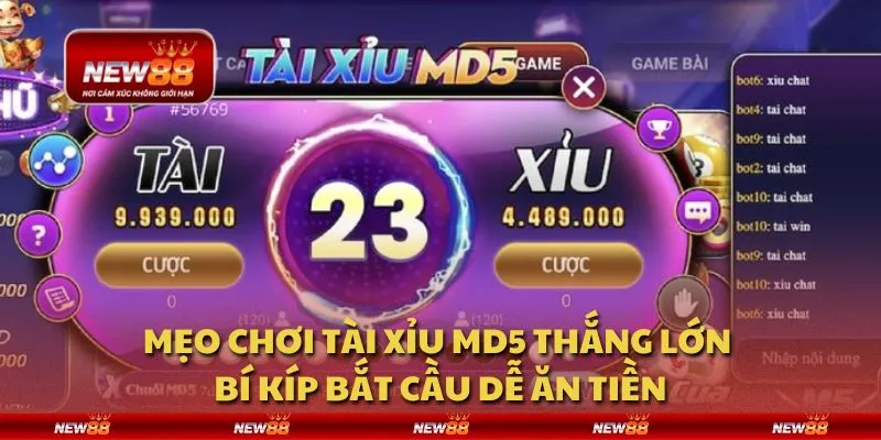 Mẹo chơi tài xỉu MD5 thắng lớn - Bí kíp bắt cầu dễ ăn tiền