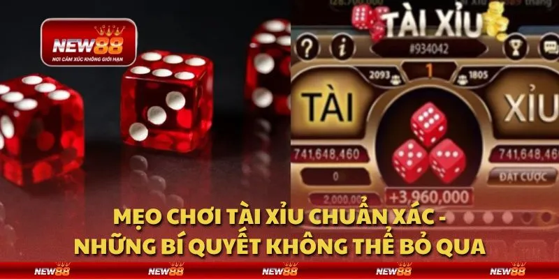 Mẹo chơi tài xỉu chuẩn xác - Những bí quyết không thể bỏ qua