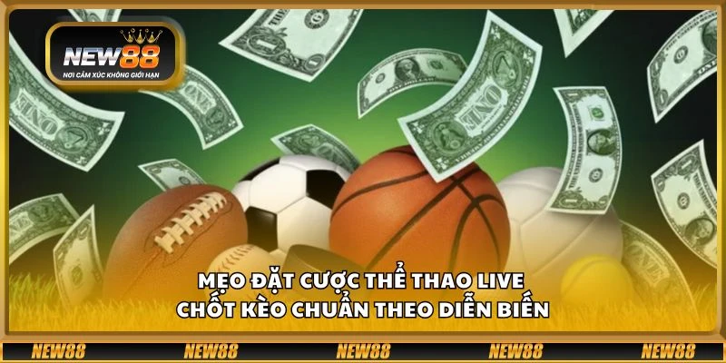 Mẹo đặt cược thể thao live - Chốt kèo chuẩn theo diễn biến