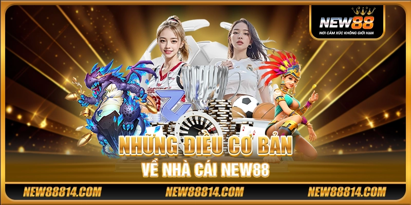 Những điều cơ bản về nhà cái New88