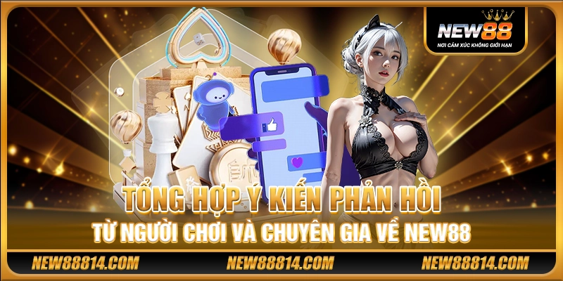 Tổng hợp ý kiến phản hồi từ người chơi và chuyên gia về New88