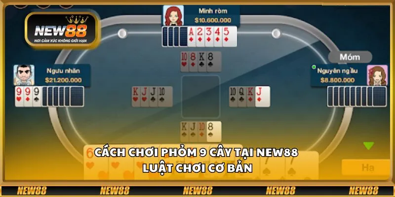 Cách chơi phỏm 9 cây tại New88 - Luật chơi cơ bản