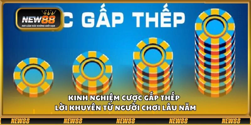 Kinh nghiệm cược gấp thếp – Lời khuyên từ người chơi lâu năm