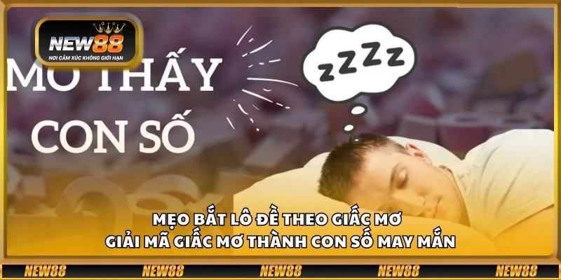 Mẹo bắt lô đề theo giấc mơ - Giải mã giấc mơ thành con số may mắn