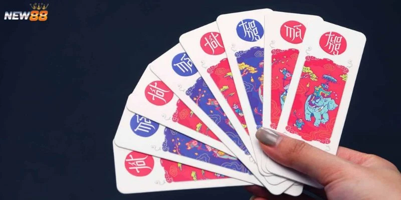 Tìm hiểu về game bài Tam Cúc cơ bản