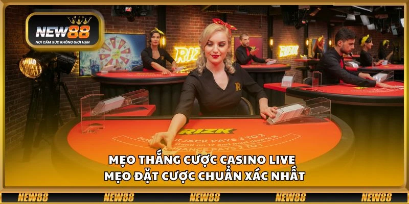 Mẹo thắng cược casino live - Mẹo đặt cược chuẩn xác nhất