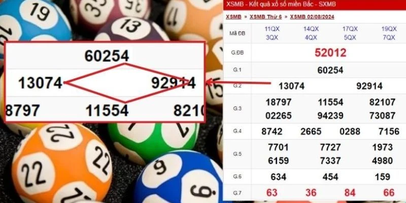 Tìm hiểu về lô quả trám 