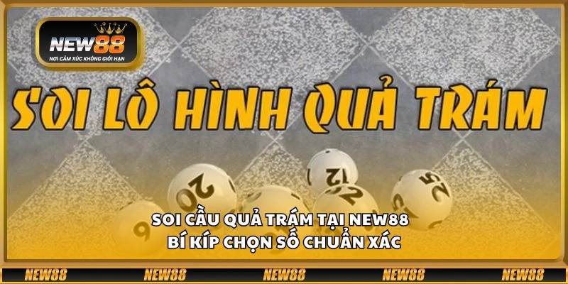 Soi cầu quả trám tại New88 - Bí kíp chọn số chuẩn xác