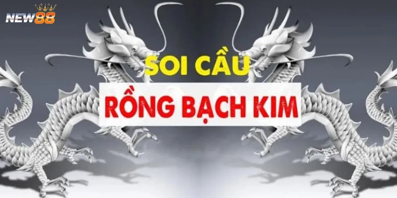 Tìm hiểu về soi cầu rồng bạch kim