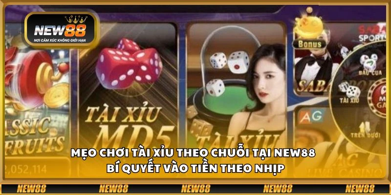 Mẹo chơi Tài Xỉu theo chuỗi tại New88 – Bí quyết vào tiền theo nhịp